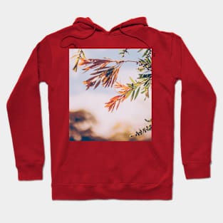 Xmas spirit theme Hoodie